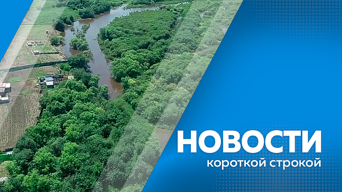 Новости короткой строкой. Предотвращение терактов на военные аэродромы в Амурской и Челябинской областей. Владимир Путин вручил ежегодную премию Народного фронта амурской семье. Архитектура деловой программы Восточного экономического форума.
