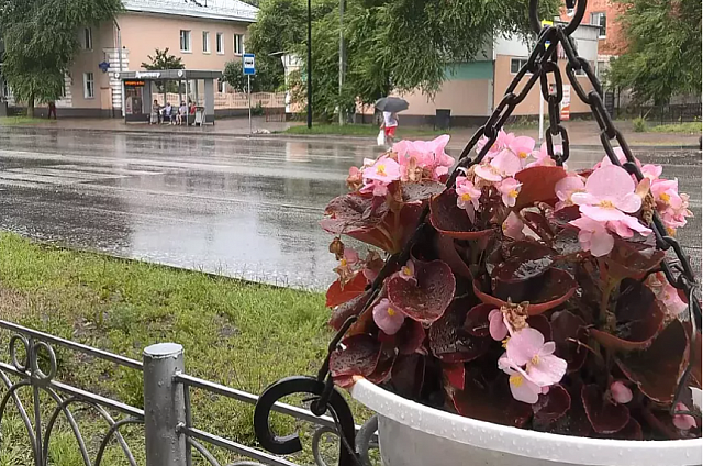 В ближайшую неделю погода в Приамурье поменяется несколько раз