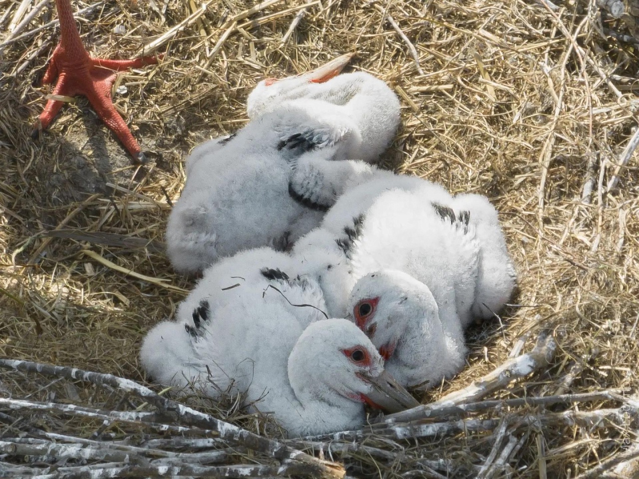 Фото: Максим Логунов