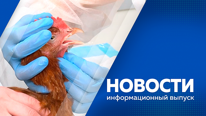 Новости. Приамурье во власти циклона. Специальная кадровая программа для ветеранов и участников СВО. В рамках регионального этапа чемпионата &quot;Профессионалы 2025&quot; его участники соревнуются в компетенции &quot;Кинология&quot;. 