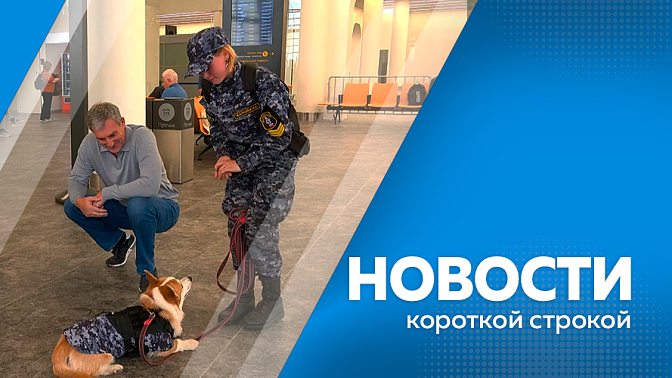 Василий Орлов проверил терминал аэропорта Благовещенска. Идёт приём кандидатур в избирком. 15 октября — акция «Поздравь Деда Мороза». Медведи в Шимановском округе «прочитали» басню Крылова.