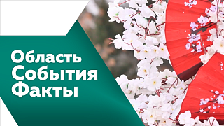Область. События. Факты. Василий Орлов работал в Бурейском и Архаринском округах. Минтранс региона решил установить на проблемных участках дорог в Шимановске шумовые полосы. Жители амурской столицы жалуются на ворон.
