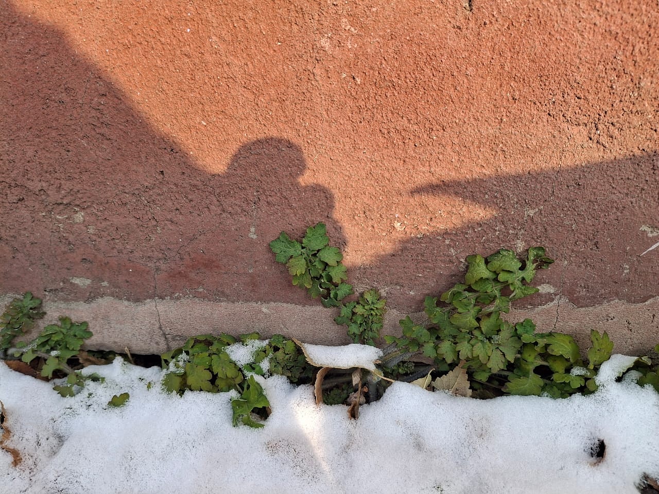 Фото: Павел Жирнов