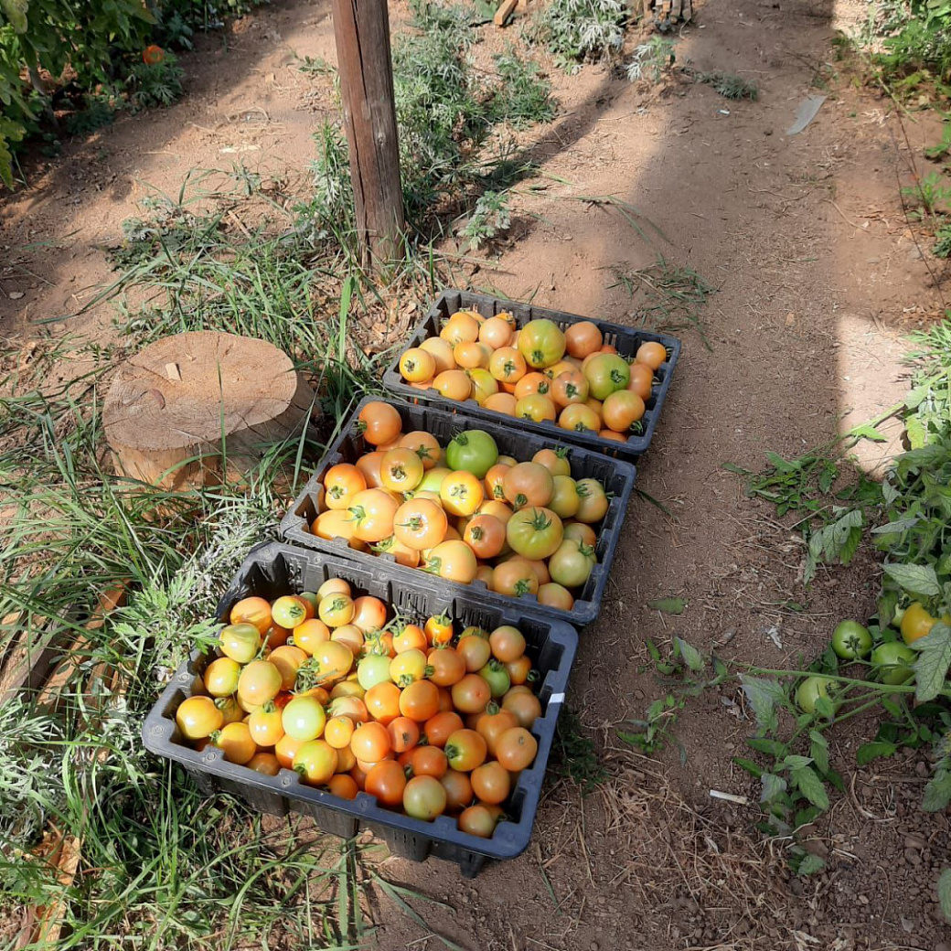 Фото: правительство Амурской области