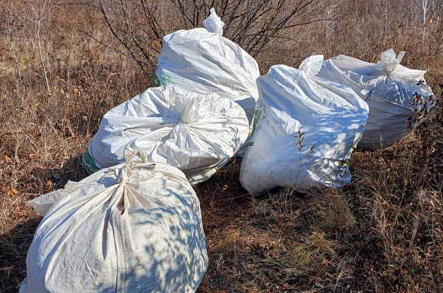 Полторы тонны конопли нашли у «фермеров» в Приамурье