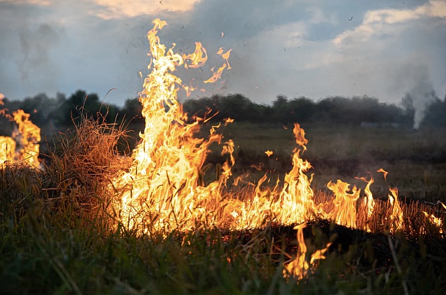 Пожароопасный сезон открыт в Амурской области