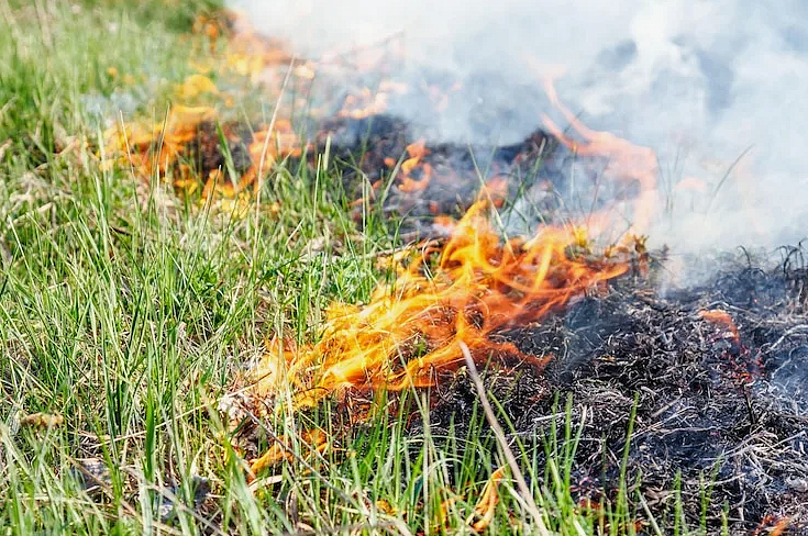 Фото: freepic.com