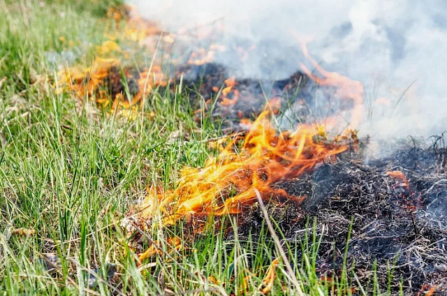 Засушливая весна в Приамурье: синоптики прогнозируют повышенные риски пожаров