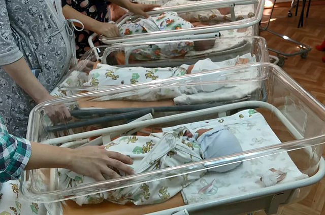 Стипендия для родителей: около 80 амурских студенческих семей получают поддержку от государства