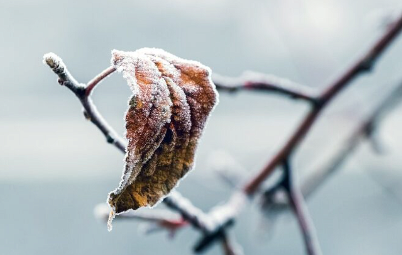 Фото: ru.freepik.com