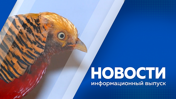 Новости. Управляющему директору и главному инженеру рудника «Пионер» смягчили приговор. В Благовещенске проходит «Второй Фестиваль музеев Амурской области». Жители областного центра победили во всероссийском конкурсе «Семья года».