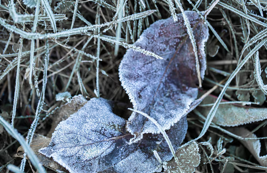 Фото: ru.freepik.com