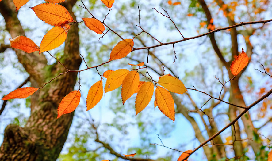 Фото: ru.freepik.com