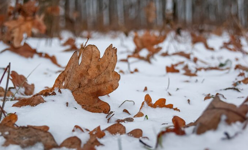 Фото: ru.freepik.com