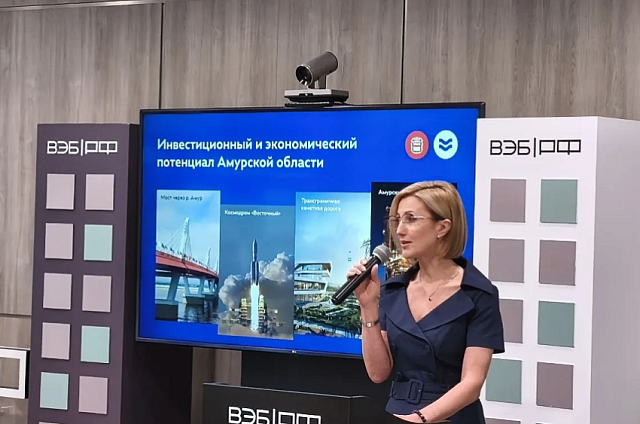 Амурскую область представили как ключевую инвестиционную площадку Дальнего Востока