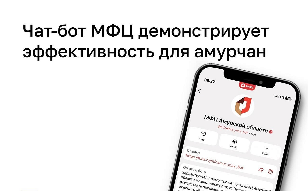 Фото: t.me/digital_amurobl