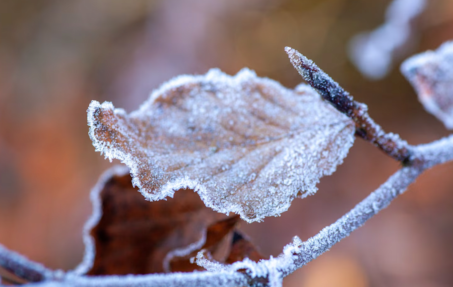 Фото: ru.freepik.com
