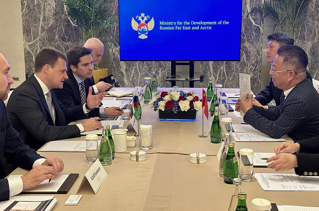 Компания из Китая планирует построить крупнейшую ветроэлектростанцию в Амурской области 