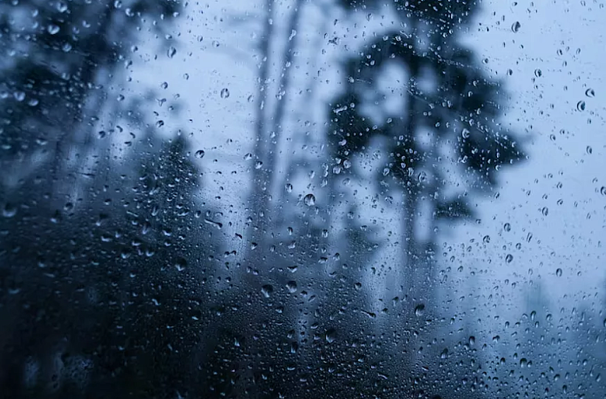 Фото: ru.freepik.com