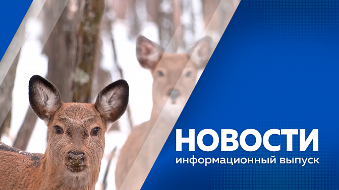 Новости. За повреждение зеленых территорий и цветников могут привлечь к административной ответственности. С 26 октября в аэропорту Благовещенска начнет действовать новое осенне-зимнее расписание. Ветераны СВО развивают свое дело в Приамурье.