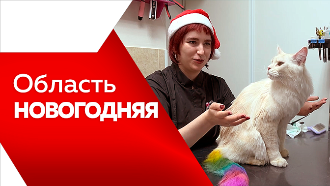 Область новогодняя. 2025 год