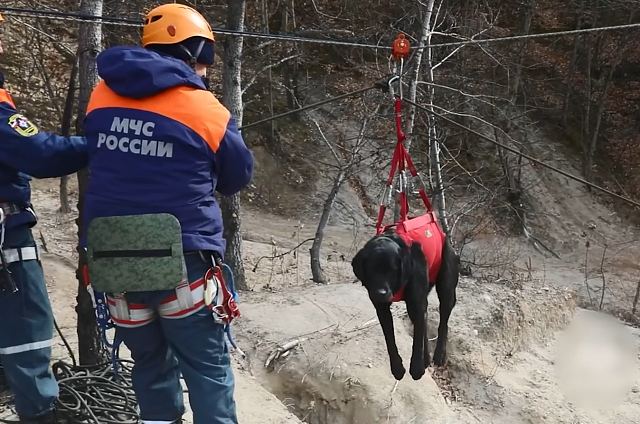 На картодроме рядом с Благовещенском прошли учения поисково-спасательного отряда амурского МЧС. 