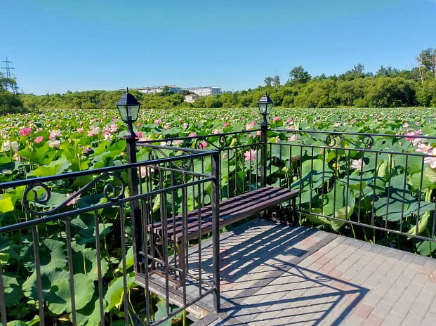 Фото: правительство Амурской области