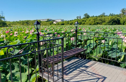 Амурские города с каждым годом всё лучше: губернатор отметил победителей конкурса благоустройства