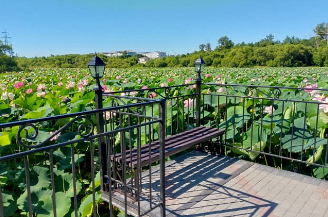 Амурские города с каждым годом всё лучше: губернатор отметил победителей конкурса благоустройства