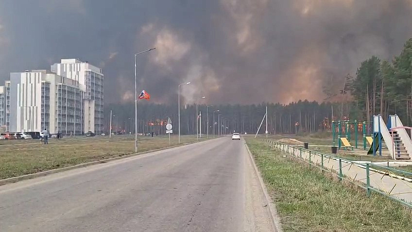 Фото: Амурский центр ГЗ и ПБ