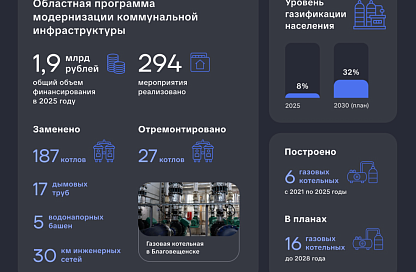 Василий Орлов: «К 2030 году мы должны увеличить показатель газификации до 32 процентов»