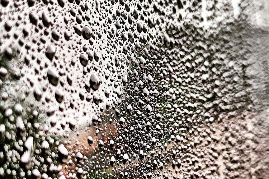 Фото: АОТВ