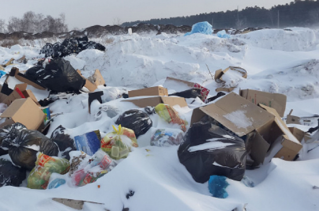 Организаторов свалок в лесу выявляют в Приамурье