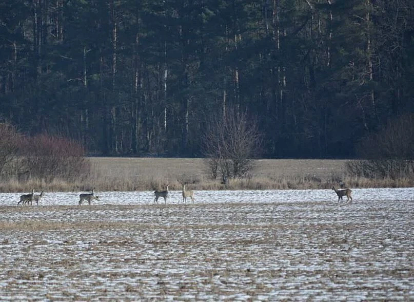 Фото: max.ru/id2801135236_gos