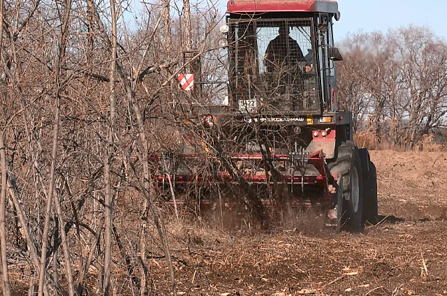 Универсальная техника чистит заросшие поля в Белогорском округе, пока она единственная в Приамурье