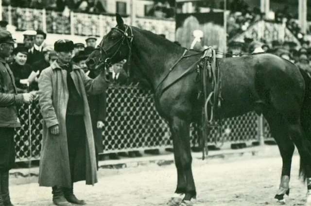 Трибуны на льду Амура: Благовещенский ипподром отмечает 120 лет