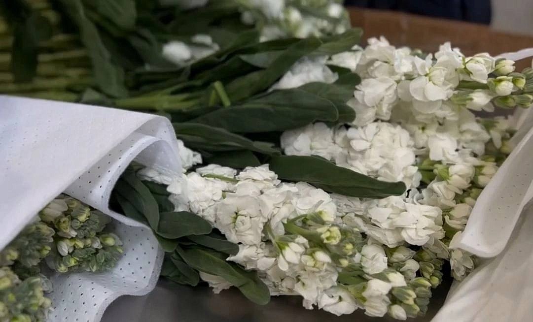 Фото: t.me/rsnamur