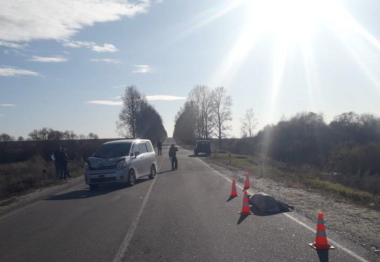 Пешеход погиб под колёсами автомобиля в Серышевском округе | 10.10.2023 |  Благовещенск - БезФормата