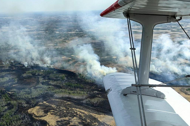На севере Приамурья усиливают лесопожарную группировку