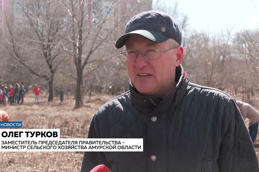 Более 23 тысяч человек приняли участие в акции «Город берегу»