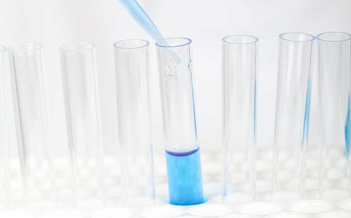 Фото: pxhere.com