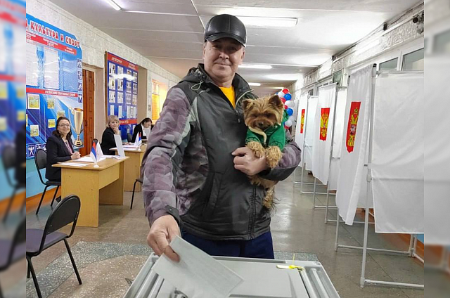 Предварительно, за Владимира Путина в Амурской области проголосовали 86,9% избирателей