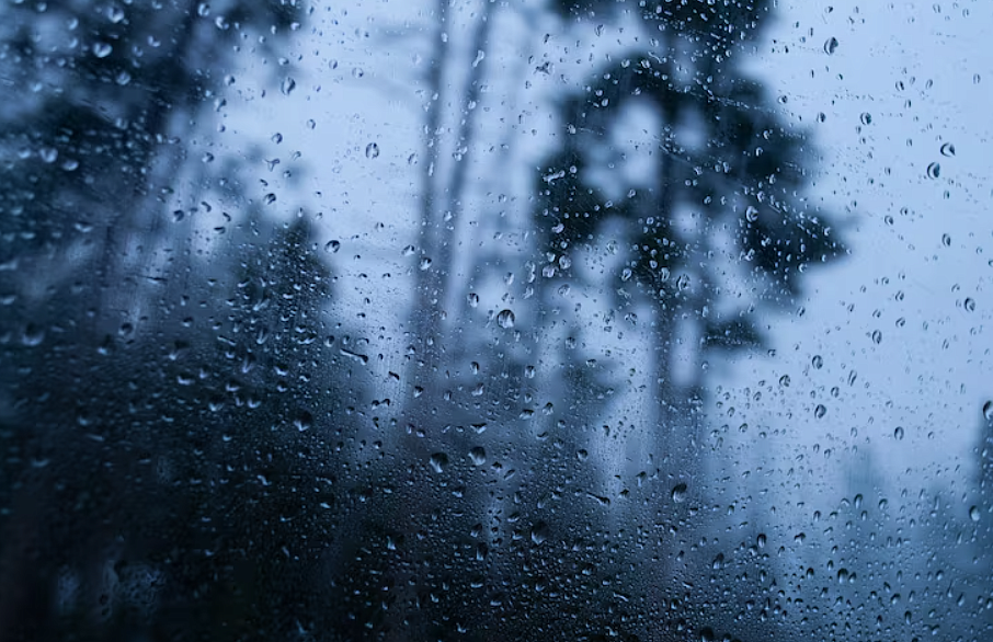 Фото: ru.freepik.com