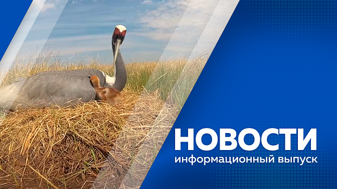Новости. Теперь пляж на Серебряной миле в Благовещенске будет работать с 10 до 20 часов. В Приамурье идёт подготовка к первому на Дальнем Востоке корпоративному демографическому форуму. Первые идеи по созданию авторского меню для Приамурья.