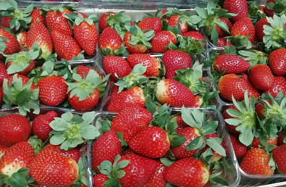 Около 20 тонн заражённой клубники из Китая сожгут в Приамурье