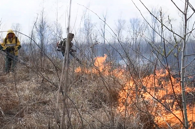 В 10 муниципалитетах Приамурья действуют 15 природных пожаров