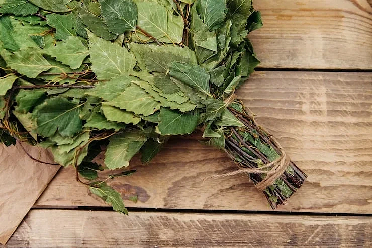 Фото: max.ru/id2801168320_gos