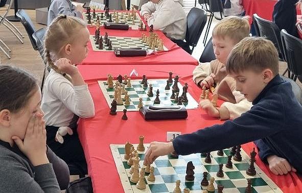 Фото: t.me/blagoveshchensk_rf