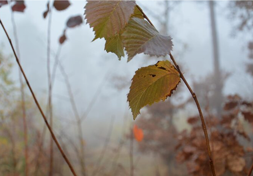 Фото: ru.freepik.com