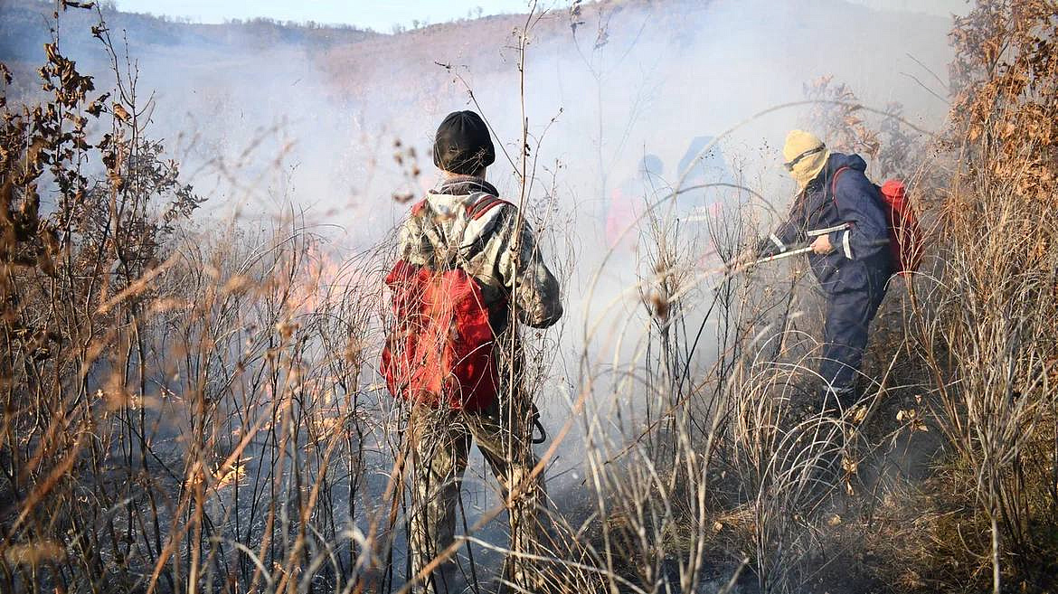 Фото: t.me/OrlovAmur